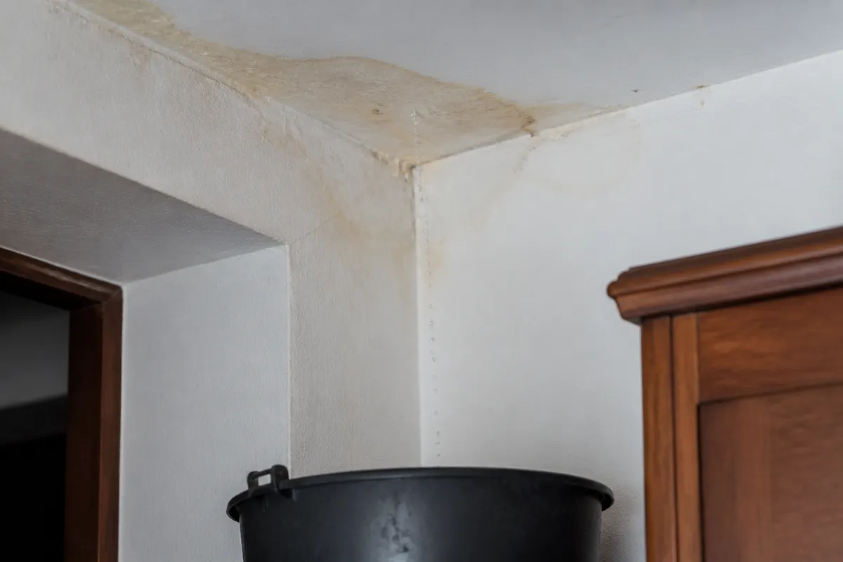 Qué hacer ante una fuga de agua en casa. Consejo de fontanería para viviendas en Murcia